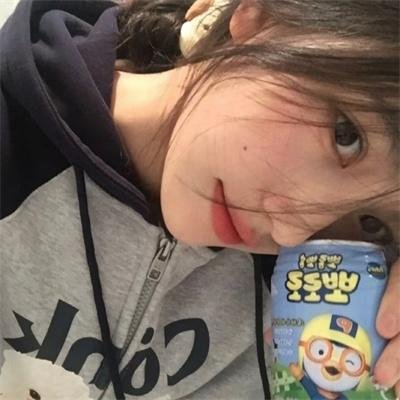 狮子护卫队第二季