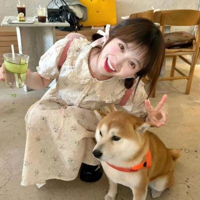 萌宠入殓师