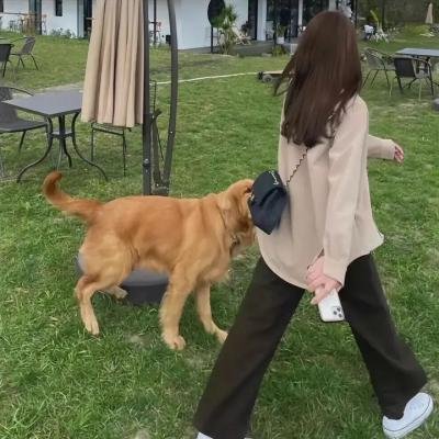 中东大追杀